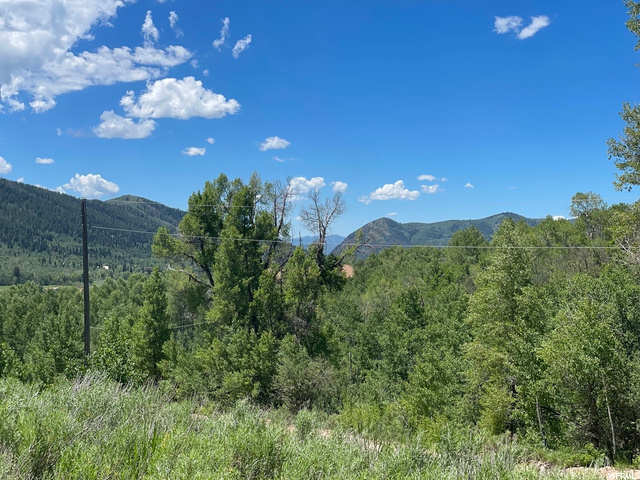 1 Hoback #1, Oakley, UT 84055 — photo 8