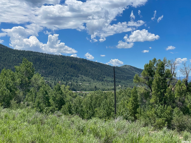 1 Hoback #1, Oakley, UT 84055 — photo 6