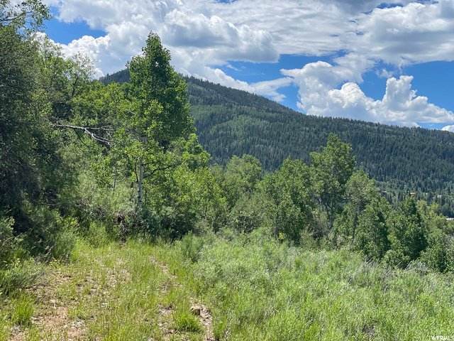 1 Hoback #1, Oakley, UT 84055 — photo 10