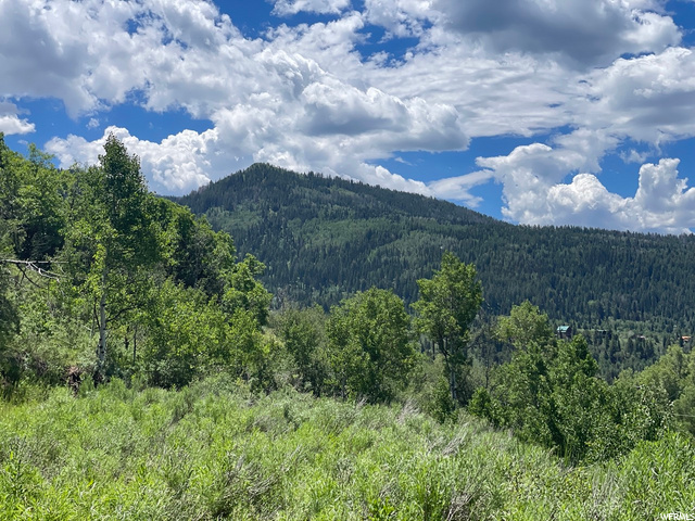 1 Hoback #1, Oakley, UT 84055 — photo 7