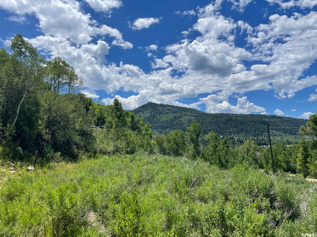 1 Hoback #1, Oakley, UT 84055 — photo 5