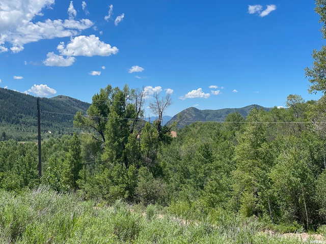 1 Hoback #1, Oakley, UT 84055 — photo 9