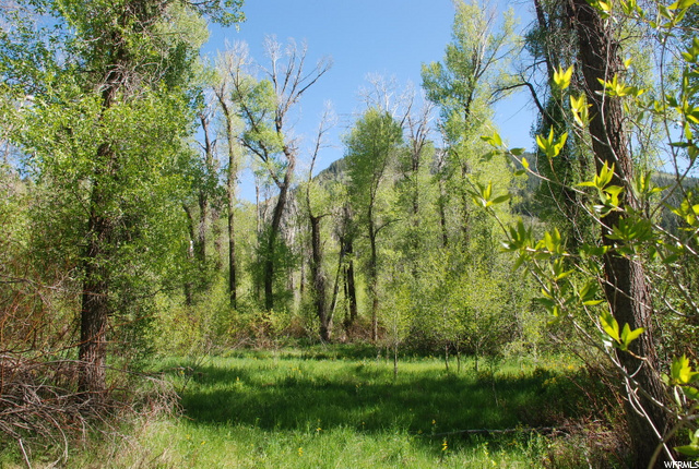 2500 Weber Canyon Rd, Oakley, UT 84055 — photo 8