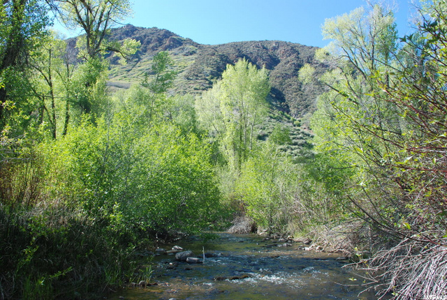2500 Weber Canyon Rd, Oakley, UT 84055 — photo 6