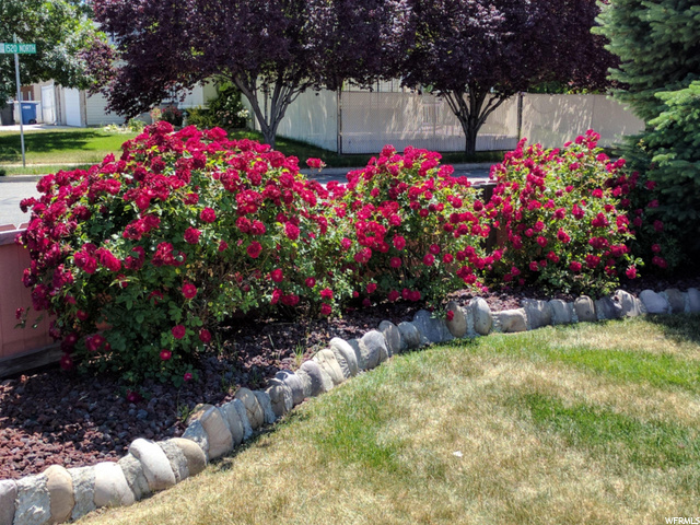 1533 1075 W, Clinton, UT 84015 — photo 2