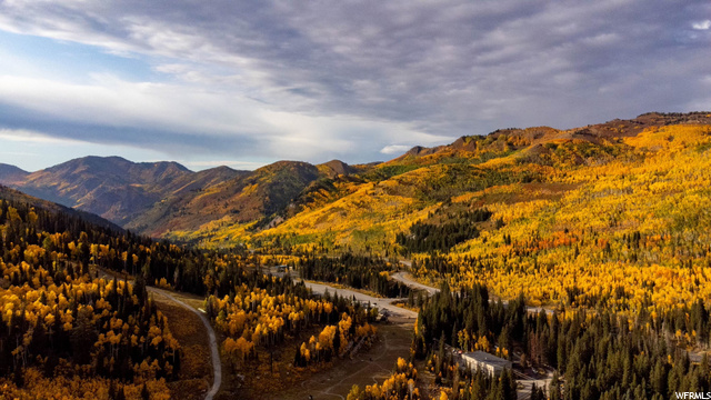 Canyon In The Fall