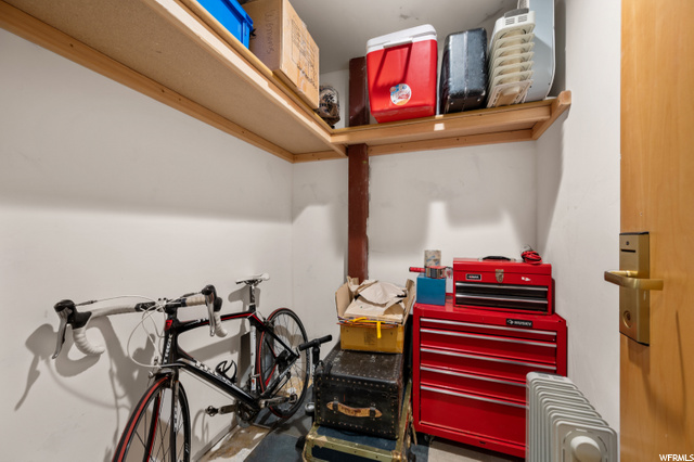 Additional Storage (Hallway Access)