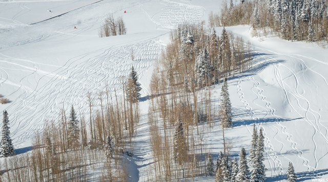 #11, Brian Head, UT 84719 — photo 8