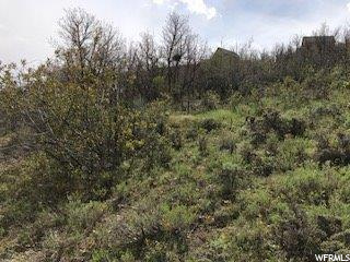 24 Hollow #24, Wanship, UT 84017 — photo 4