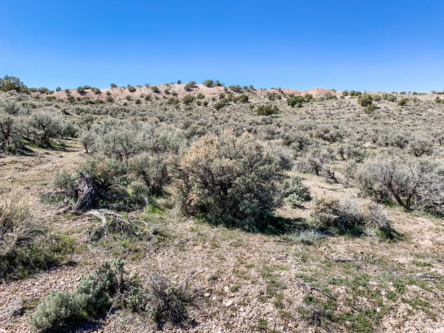 78 Sevier River #78, Levan, UT 84639 — photo 5