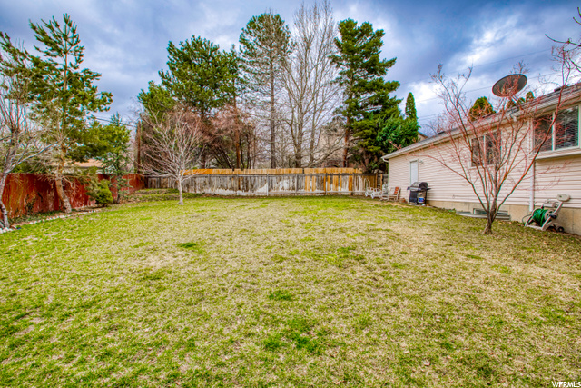 Side view of back yard