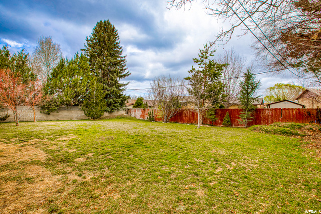 Large backyard
