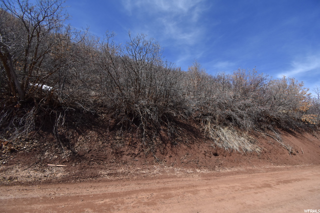 158 Switzer, Midway, UT 84049 — photo 4
