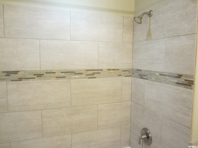 Tub/shower in Main Bathroom