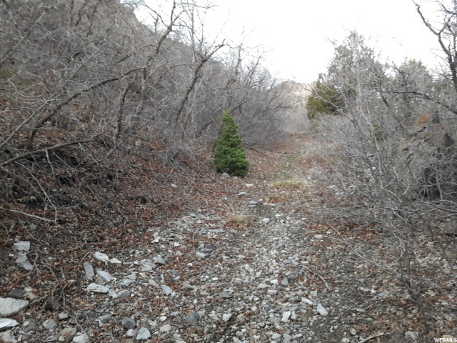 500 E Ogden Canyon Rd, Ogden, UT 84401 — photo 9