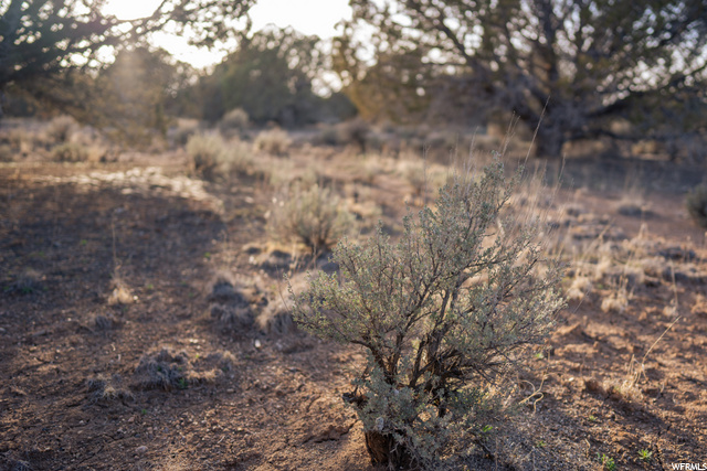 #17, Cedar City, UT 84720 — photo 7