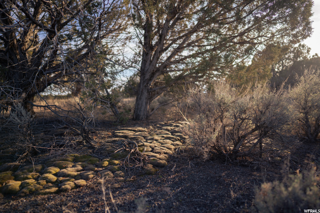 #17, Cedar City, UT 84720 — photo 6