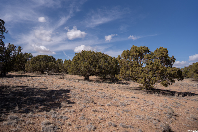 #17, Cedar City, UT 84720 — photo 12