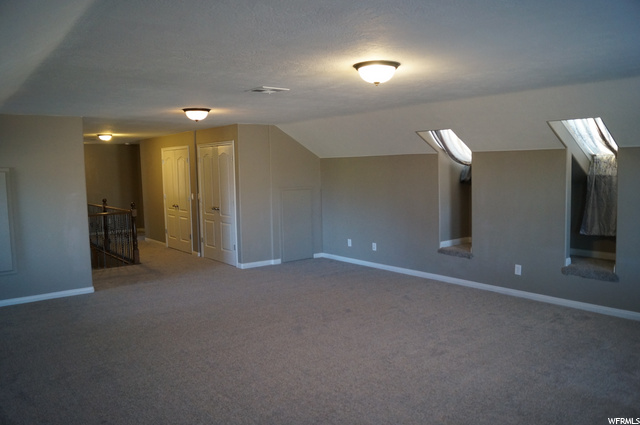 Sky lights and room to romp