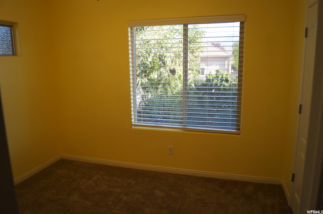 Sunny Window