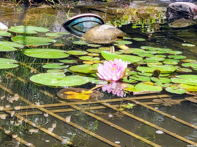 Grated water pond for safety