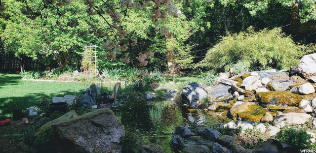 Pond/Waterfall