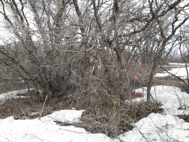 2098 N Big Sky Dr. E #62, Eden, UT 84310 — photo 8