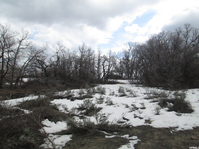2098 N Big Sky Dr. E #62, Eden, UT 84310 — photo 6
