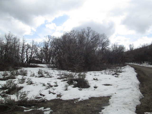 2098 N Big Sky Dr. E #62, Eden, UT 84310 — photo 7