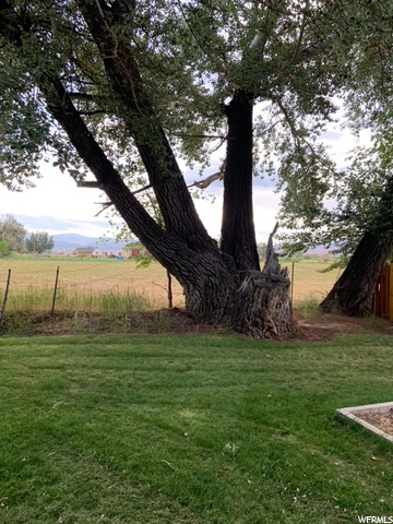 8017 E 6000 N, Lapoint, UT 84039 — photo 5