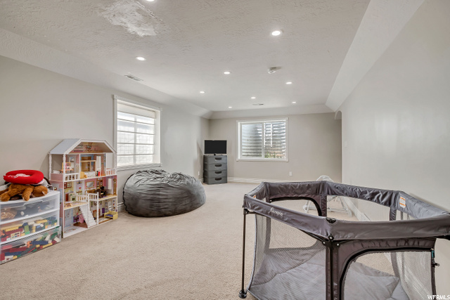 Basement Family Room