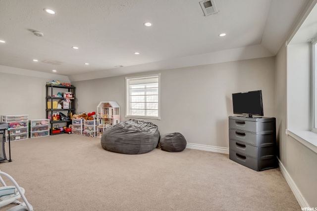 Basement Family Room