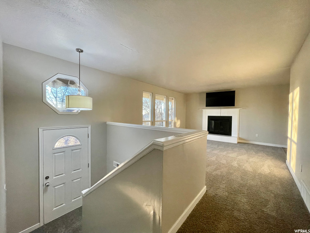 816 N Jackson Ave, Ogden, UT 84404 — photo 4
