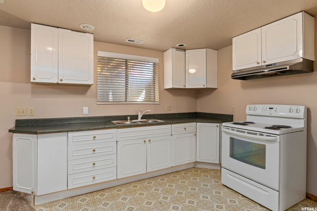 Basement Kitchen
