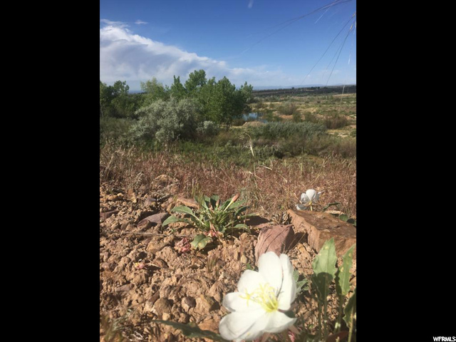 #7, Roosevelt, UT 84066 — photo 4