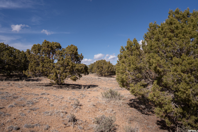 #18, Cedar City, UT 84720 — photo 8