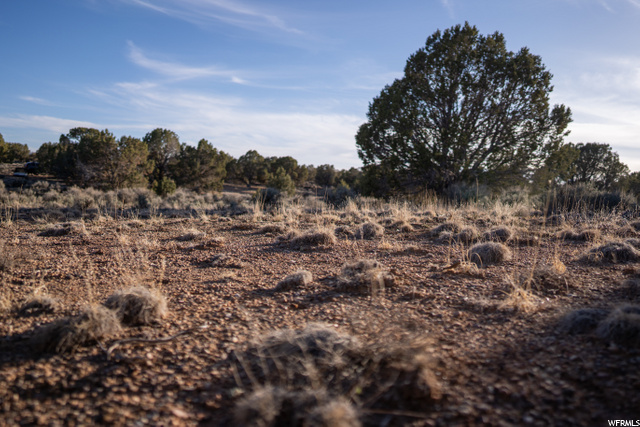#18, Cedar City, UT 84720 — photo 12