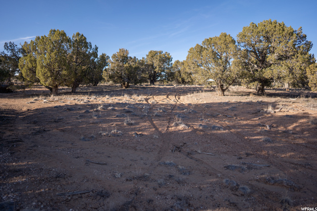 #18, Cedar City, UT 84720 — photo 11