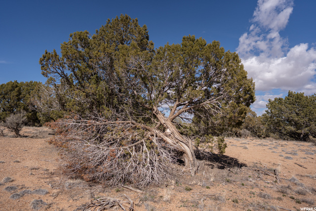 #18, Cedar City, UT 84720 — photo 7
