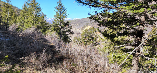 199 E Weber Wild Rd, Oakley, UT 84055 — photo 2