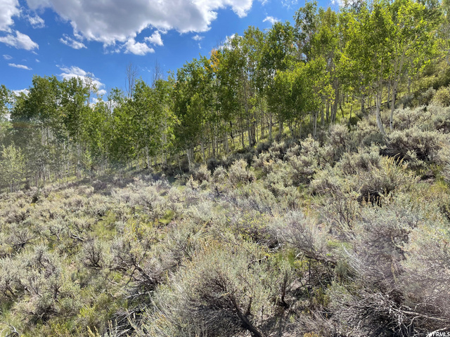 #A1, Scofield, UT 84526 — photo 4