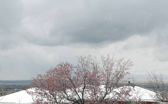 140 N 1050 E, Bountiful, UT 84010 — photo 9