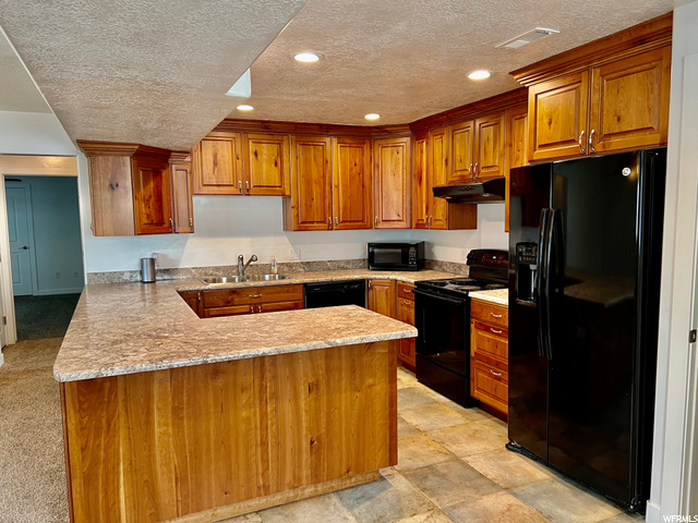 Basement Kitchen