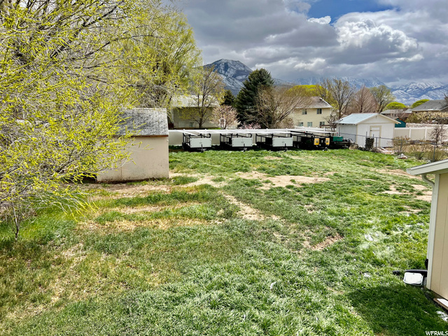 Large Back yard