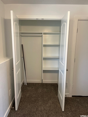Closet in Den