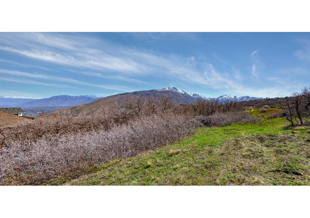 1572 E Granite Ct, Draper, UT 84020 — photo 6