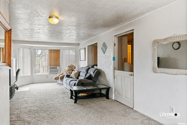207 E Red Hill Rd, Central, UT 84722 — photo 11