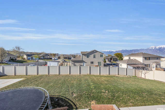 Back yard