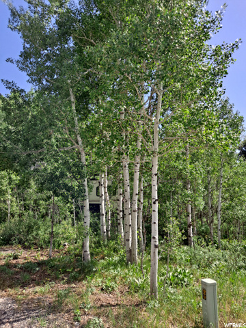 91 A Hidden Lake #91A, Oakley, UT 84055 — photo 12