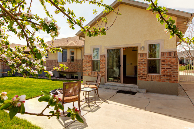 Backyard Patio
